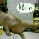 그르르 이미지