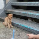 국제모터스 이미지