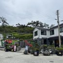 관리도캠핑장