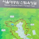 2023. 8/20(일) 1180차 과천 서울대공원 산림욕장길-동물원둘레길 산행기 이미지