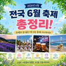 이번 주말 2026년 6월 전국 축제 일정 및 행사 정보