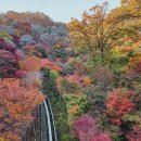 화담조경 이미지