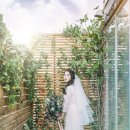 디아스튜디오 이미지