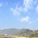 병천천 | [미호강 옥산 병천천 구간 올해 마지막 주민하천관리 모니터링 후기 - 11.12(화)]
