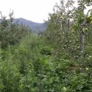 상원농장 이미지