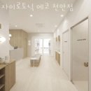 자이로토닉에코 이미지