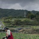 다솜공인중개사사무소 이미지