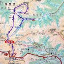 6월27일 야생화가 지천인 천상의화원 금대봉 대덕산 산행 이미지