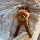 뷰조은펜션 이미지