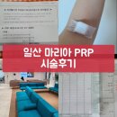 의료법인 늘하얀치과재단 | [시험관동결1차]자가혈소판 주입술 PRP 혈소판 자궁내막 주입(후기/비용/통증)