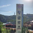 황골장미마을 네이버블로그