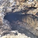 우리가축약품 이미지