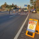 서귀포 자치경찰대 이미지