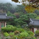 강화순대국 - 서구 신석로 97 | 강화순대국