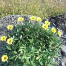 송이목장 이미지