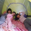 용인대사강태권도장 이미지