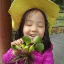 상도어린이집 이미지