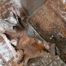 동아당구클럽 이미지