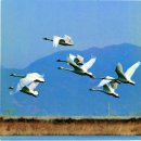 진도우리화원 이미지