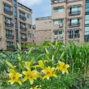 마전농장 이미지