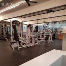 모리짐