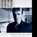 Moon over bourbon street/Sting 이미지