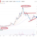 첨단기업5로1R-23 | 전기차 캐즘 현상에도 살아남은 알짜 기업은?