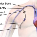 유신태권도장 이미지