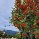 이박목장 이미지