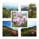 2025년5월25일(일)정선 두위봉 자료방 예약방 이미지