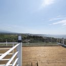 그랜드메르호텔 제주 이미지