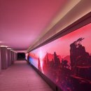 효자로(K) | 경복궁 효자로 가을 단풍길 산책/2025 코리아 그랜드 페스티벌 무료 관람 후기/궁궐 가을 데이트 코스...