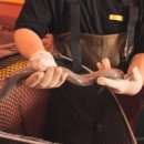 양평민물장어 이미지