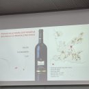 B.D.M(비디엠) 이미지