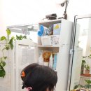 깜쪽 | 홍대 붙임머리 깜쪽 같이 내머리같아