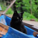 반포자이동물병원 이미지