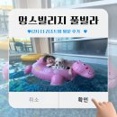 더리조트멍 | (가평 애견펜션) 가평 아기랑 강아지랑 (구)“더 리조트멍” 방문후기