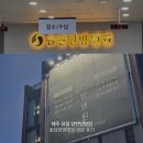 [일상/병원] 100:0 교통사고 제주 유일 양한방병원 솔담한방병원 방문 후기