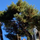 주택 옆 이미지