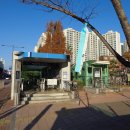 산성 비상-5호 이미지