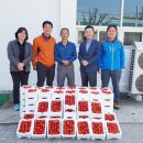 제일농산 이미지