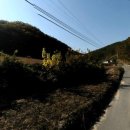 일류공인중개사사무소 이미지