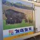 선사시대꺼먹돼지