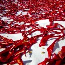 신진식품 이미지