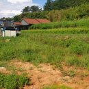 남해-294 이미지