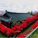 강진미술관 Daum카페