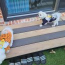 솔마루민박 이미지