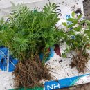 청하우체국 이미지