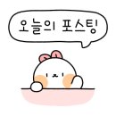 스시상선 이미지