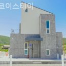 코이스테이 이미지